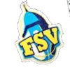 FSV女篮